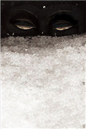 见雪与谢寻昭结局